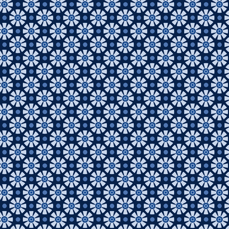FOLKLORICA BLUES         